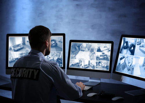 municipal video surveillance systems